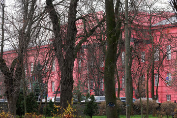 Bright pink building surrounded by winter trees in a quiet park