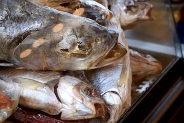 Fresh catch displayed beautifully in vibrant market stall