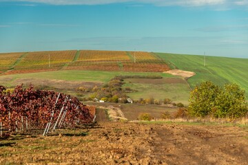 A small farm in a river valley on the Taman Peninsula (South Russia) surrounded by large vineyards on a sunny autumn day
