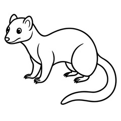 Dwarf Mongoose Line Art Vector Illustration on White Background