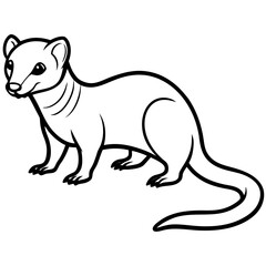 Dwarf Mongoose Line Art Vector Illustration on White Background