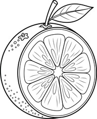 Lemon Fruit Slice Hand Drawn Line Art