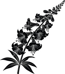 Elegant Black Floral Botanical Silhouette Illustration