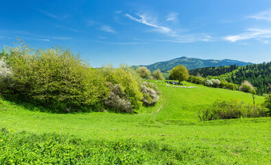 transportation, technology, transport, communication, movement, machines, means of transport, development,

