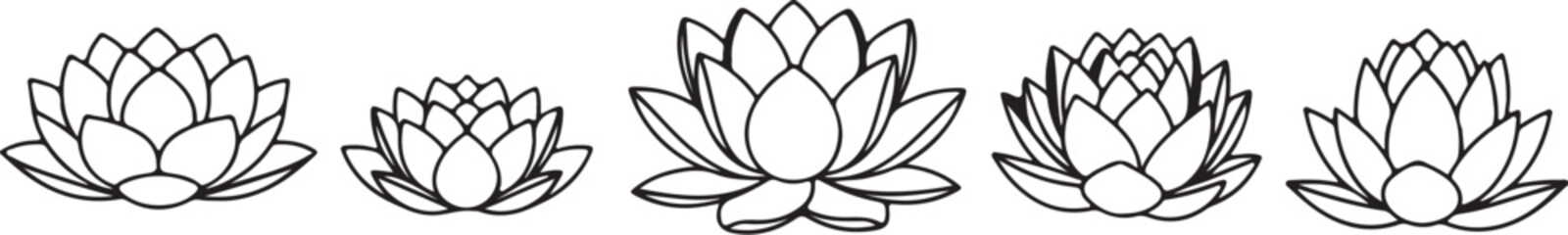 Five lotus flowers in various sizes water lily bloom also transparent background