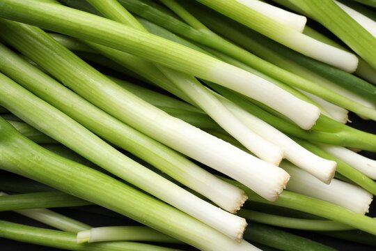 Many fresh green onions as background, top view