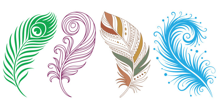 Blue vector illustration of peacock and bird feathers arranged as a decorative set on a white background