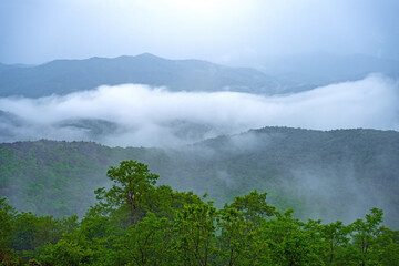 Rain and Fog in the Blue Ridge Mountains