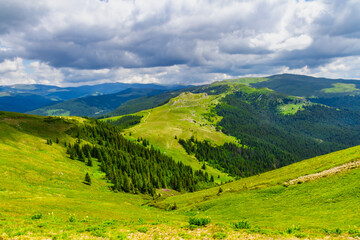 Fototapeta premium A beautiful valley in the Fagaras Mountains near Lake Vidraru. Grassy slopes covered and coniferous forest. Southern Carpathians, Romania