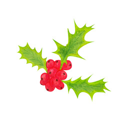 holly berries and leaves - holly - Christmas
