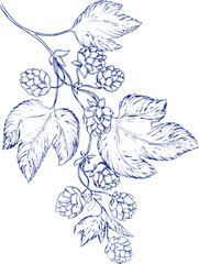 Watercolor banner set toile de jouy featuring hop branches with cones and leaves, ideal for beer branding, brewing presentations, brewery ads, or botanical and floral themed designs. Floral, leaves.