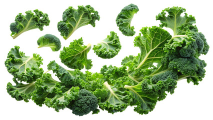 Fresh green curly kale leaves and broccoli florets on a transparent background