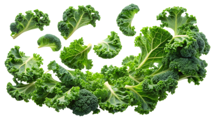 Fresh green curly kale leaves and broccoli florets on a transparent background