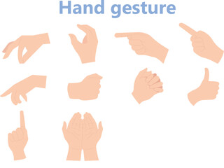 Collection of different hand gestures. Gesturing like okay sign, thumb up, pointing finger, making heart, holding hands. Vector illustration