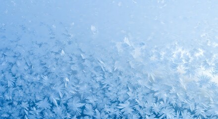 Frost Patterns on a Blue Gradient Background Showing the Beauty of Winter