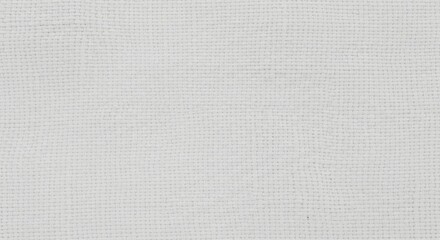 Subtle light gray background with a delicate woven texture, creating a clean and versatile foundation for contemporary design, elegant web elements, and sophisticated branding projects