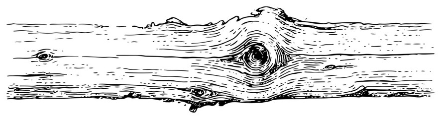 Hand drawn vector illustration of a horizontal wooden log with a large knot © Kaz