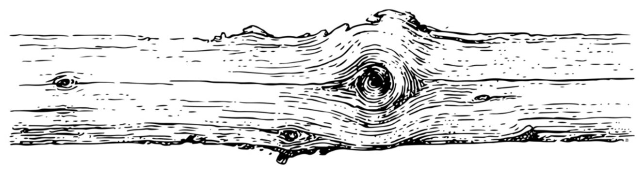 Hand drawn vector illustration of a horizontal wooden log with a large knot