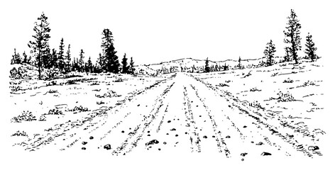 Fototapeta premium Perspective sketch of a country dirt road leading towards a pine forest