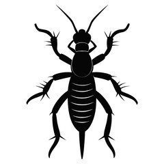 Earwig Black Silhouette Vector – Clean White Background Design