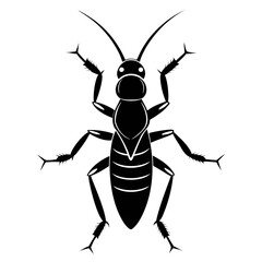 Earwig Black Silhouette Vector – Clean White Background Design