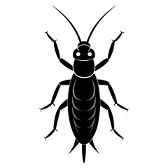 Earwig Black Silhouette Vector – Clean White Background Design