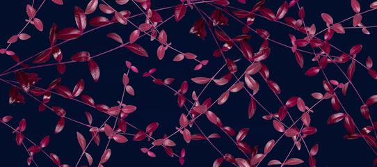 Digitally processed periwinkle leaves and thin stems of rich burgundy colour form a dense seamless pattern on a dark blue background, with a horizontal banner texture.