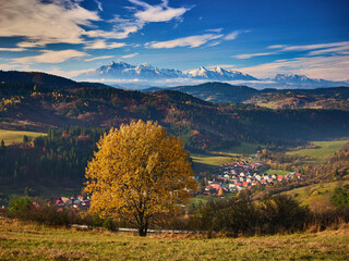 Panorama Tatr z Pienin Spiskich w jesiennym klimacie © filozofgrecki