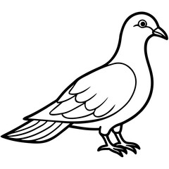 Elegant Dove Linear Vector Design White Background