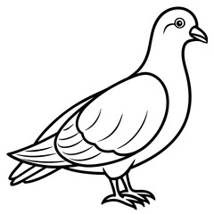 Elegant Dove Linear Vector Design White Background