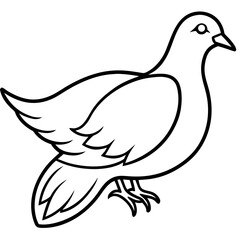 Obraz premium Elegant Dove Linear Vector Design White Background