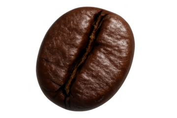 Roasted coffee bean macro shot with transparent background, single item.