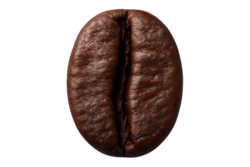 Isolated coffee bean on a transparent background for designs and mockups