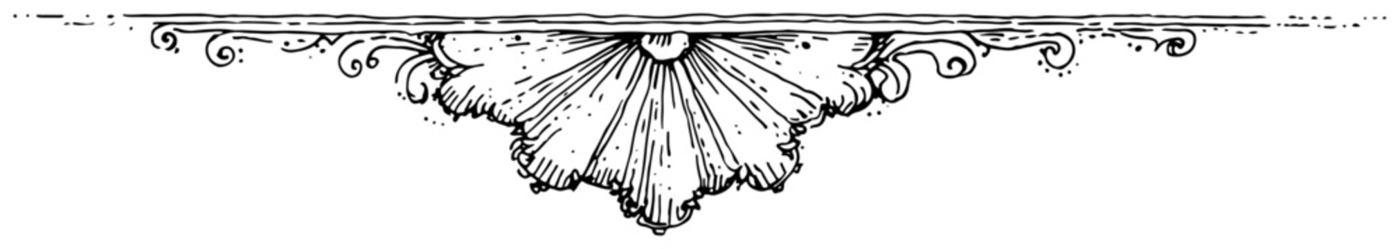 Vintage hand drawn architectural floral ornament divider or ceiling molding