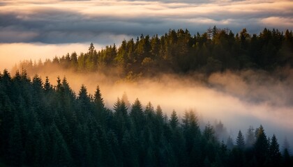 dramatic fog drifts over a rugged forest at dawn creating a moody landscape