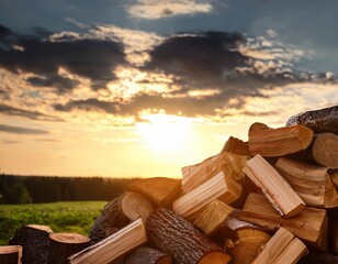 pile of cut firewood outdoors closeup view