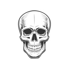 Fototapeta premium Intricate skull drawing with detailed line work evoking mortality and symbolism in a monochrome illustration