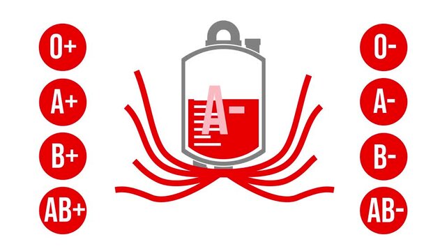 Blood Type A- Compatibility Flow Animation.