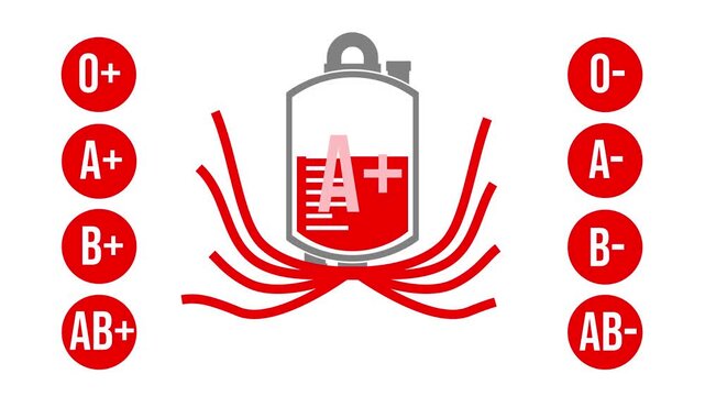 Blood Type A+ Compatibility Flow Animation.