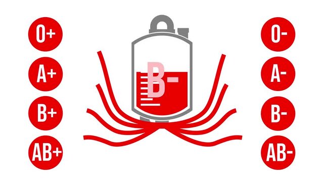 Blood Type B- Compatibility Flow Animation.