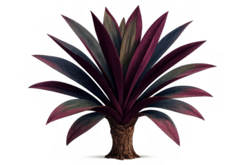 Cordyline fruticosa plant with vibrant purple and green leaves isolated on a transparent background