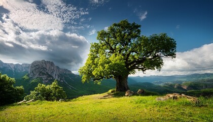 majestic oak tree and mountain landscape under a cloudy sky