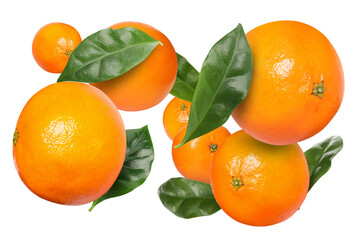 Fresh juicy tangerines flying in air on white background