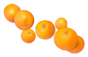 Fresh juicy tangerines flying in air on white background