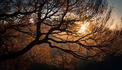 cinematic close up capturing the dramatic interplay of tree branch shadows cast by intense atmospheric lighting