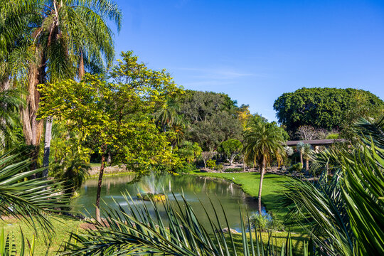 A gorgeous landscape at Pinecrest Gardens in Pinecrest  Florida USA