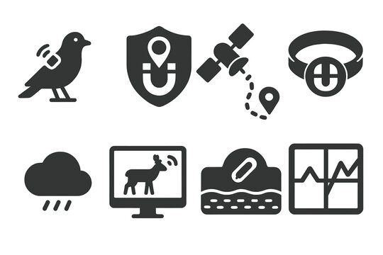 Animal Tracking Icons. Solid style icons of animal tracking tech for magneto-studies: tagged bird with wave signal, GPS+magnet
