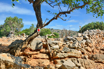 A tourist sign on a tree along the hiking trail in Kalydon (Spinalonga) peninsula near the Elounda town in Crete, Greece. 