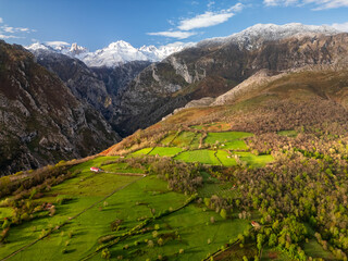Aerial view of mountain pasture in the early morning light.