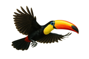 Naklejka premium Toucan bird in flight, showcasing its vivid large beak and tropical plumage. Digital illustration of exotic wildlife